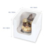 Cup Cake Boxes | 10 pack