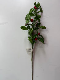 Green Berry Pick 75cm