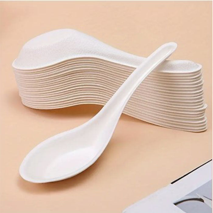 Chinese Soup Spoons | Biodegradable 100pk