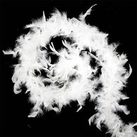White Feather Boa | The French Kitchen Castle Hill