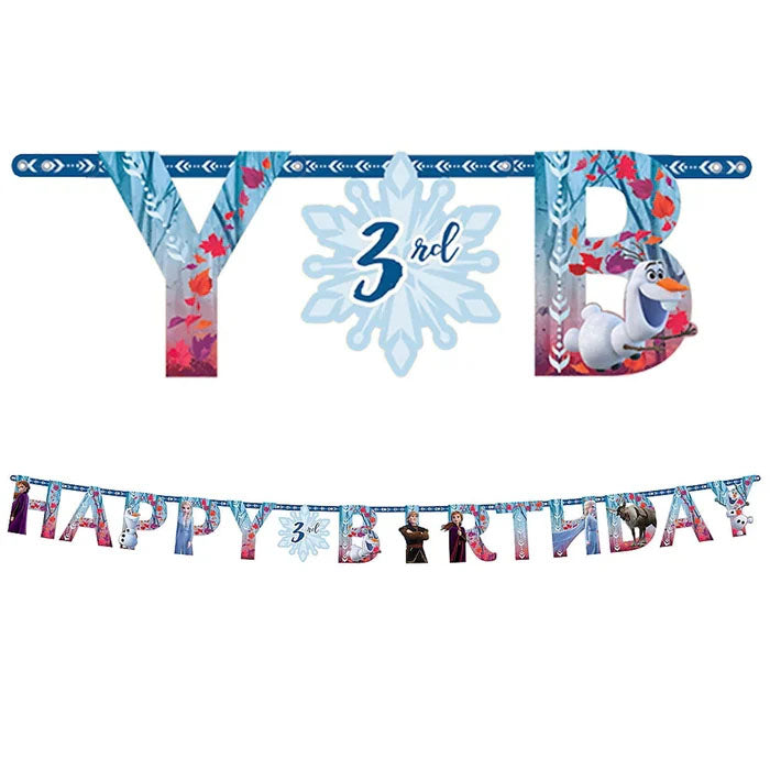 Frozen Party Banner