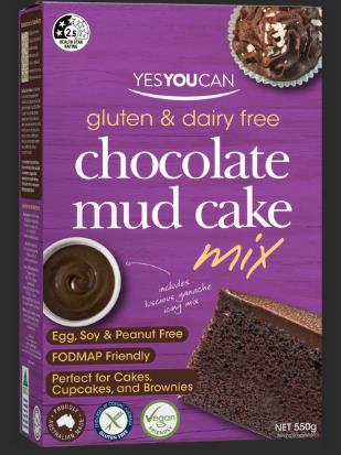 Yesyoucan Chocolate Mud Cake