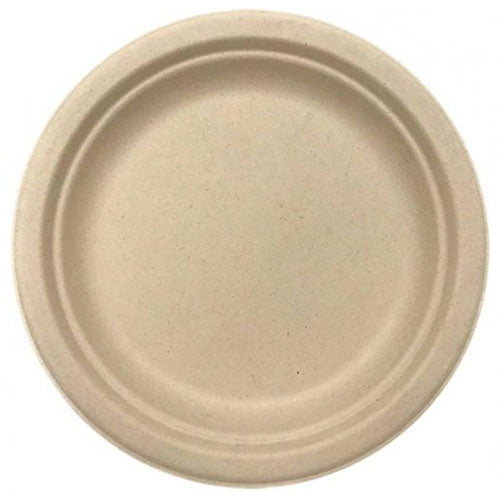 Eco Paper Dinner Plate 10 pk