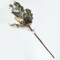 Eucalyptus Leaves | Xmas Picks