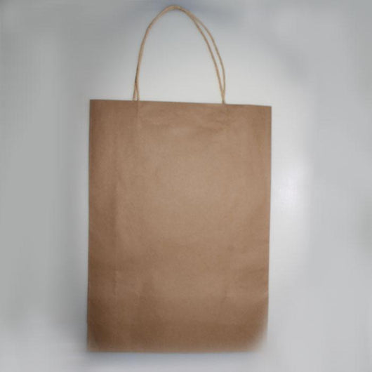 Kraft Bags | 2 Packs | Brown