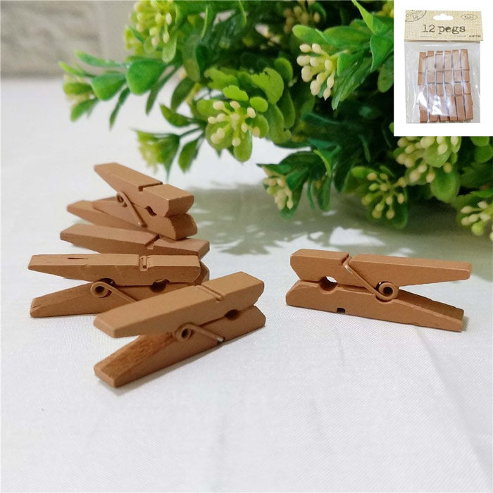 Kraft Mini Pegs | 12 pack