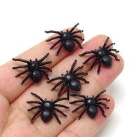 Mini Spiders | The French Kitchen Castle Hill